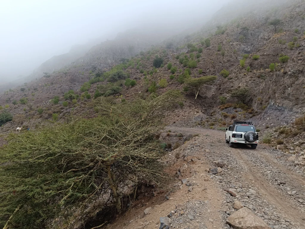Package - Djibouti - lac assal - forêt_de_day 1 Welcome to Djibouti's Best Tour Guide Agency