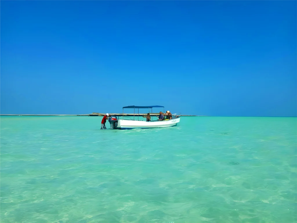 Île Moucha is a small island located off the coast of Djibout. Known for its stunning natural beauty, Île Moucha features white sandy beaches,crystal-clear waters and the largest protected mangorve forest in Djibouti, making it a popular destination for snorkeling, diving, and relaxation.