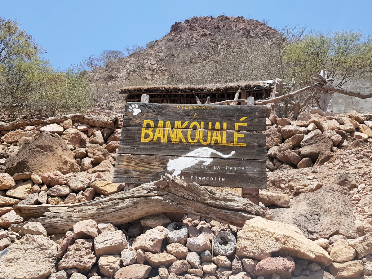 Package - Djibouti - lac assal - Tadjoura - foret du day 4 Bankouale, situated at an altitude of 800 meters, the village is rich in agricultural diversity. Surrounded by the majestic Goda Mountains, it offers a scenic campsite.