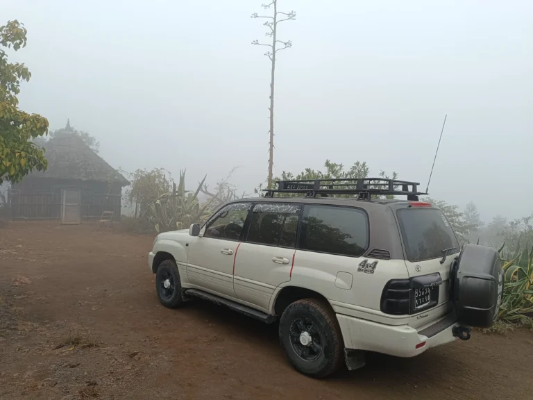 The Day Forest National Park is located at an altitude of 1,750 meters, on the slopes of Mount Goda.