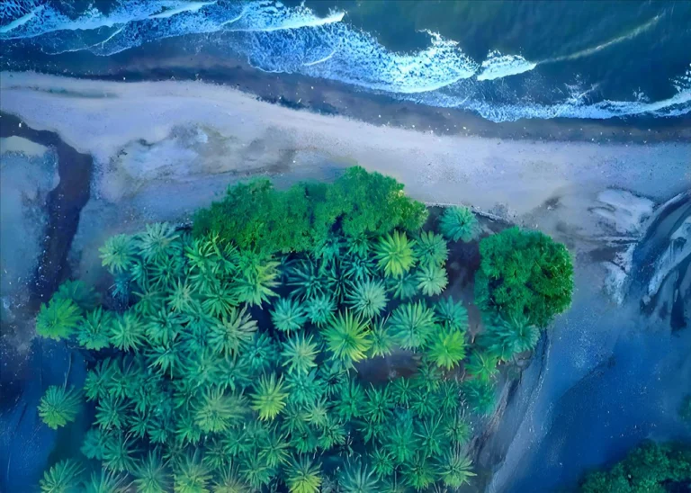 Tadjoura is one of the oldest towns in Djibouti and serves as the capital of the Tadjourah Region. The town gained prominence in the early 19th century as an alternative port to the nearby Zeila.           