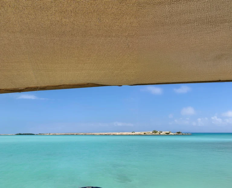 Île Moucha is a small island located off the coast of Djibout. Known for its stunning natural beauty, Île Moucha features white sandy beaches,crystal-clear waters and the largest protected mangorve forest in Djibouti, making it a popular destination for snorkeling, diving, and relaxation.