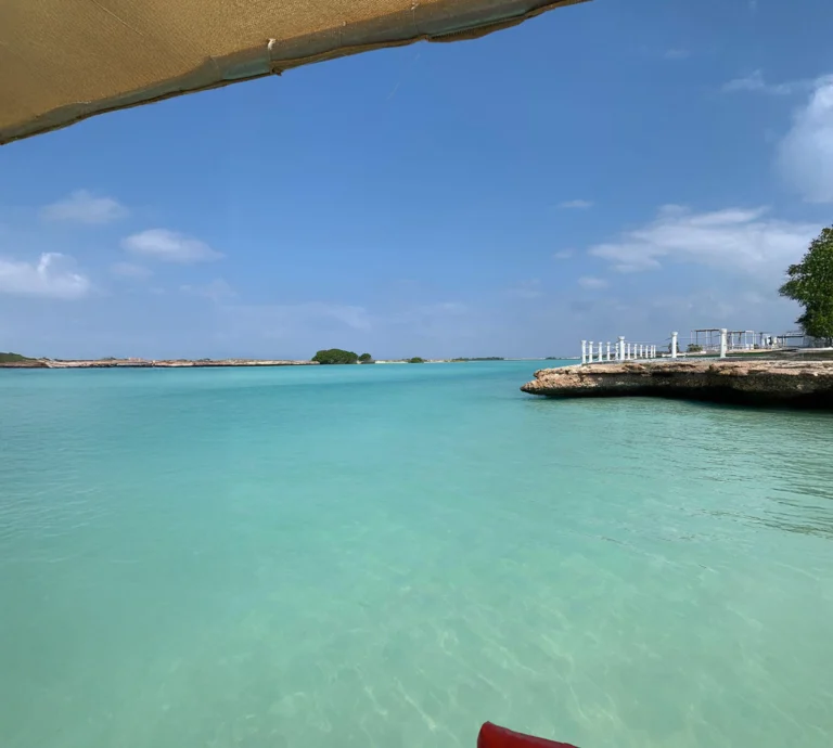 Île Moucha is a small island located off the coast of Djibout. Known for its stunning natural beauty, Île Moucha features white sandy beaches,crystal-clear waters and the largest protected mangorve forest in Djibouti, making it a popular destination for snorkeling, diving, and relaxation.
