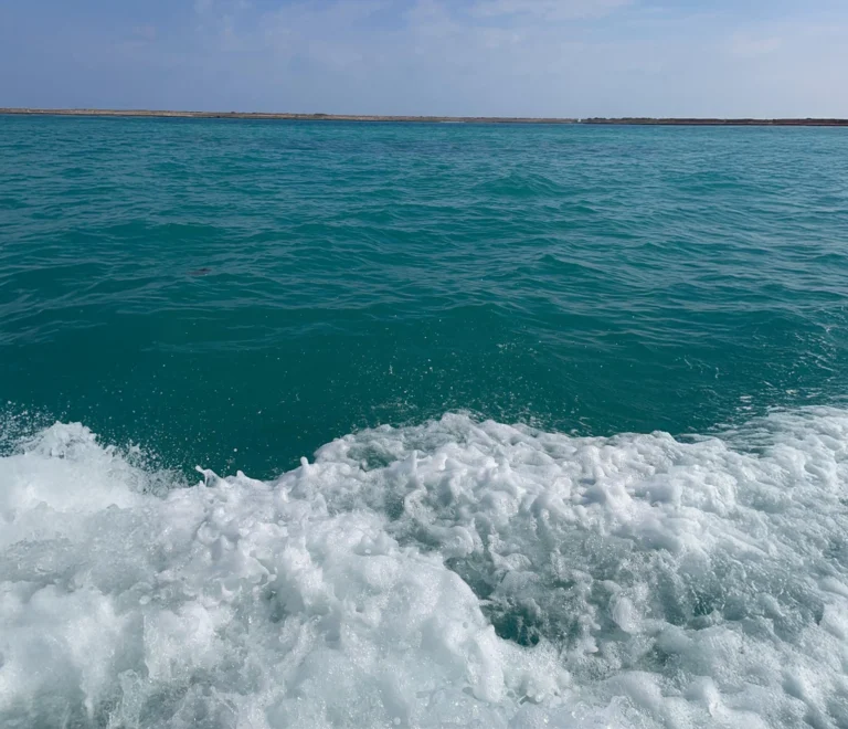 Île Moucha is a small island located off the coast of Djibout. Known for its stunning natural beauty, Île Moucha features white sandy beaches,crystal-clear waters and the largest protected mangorve forest in Djibouti, making it a popular destination for snorkeling, diving, and relaxation.
