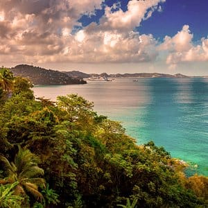 default avatar 2020 24