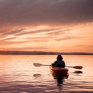 default avatar 2020 28