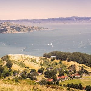 default avatar 2020 35